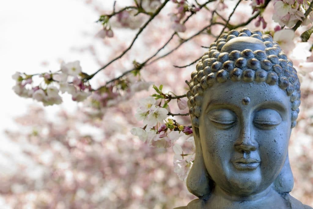 Statue de Bouddha en pierre devant des fleurs de cerisier roses 