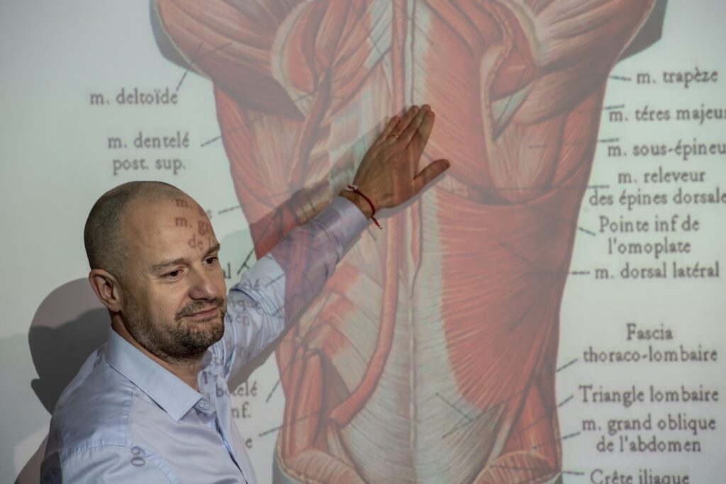 formation anatomie palpatoire