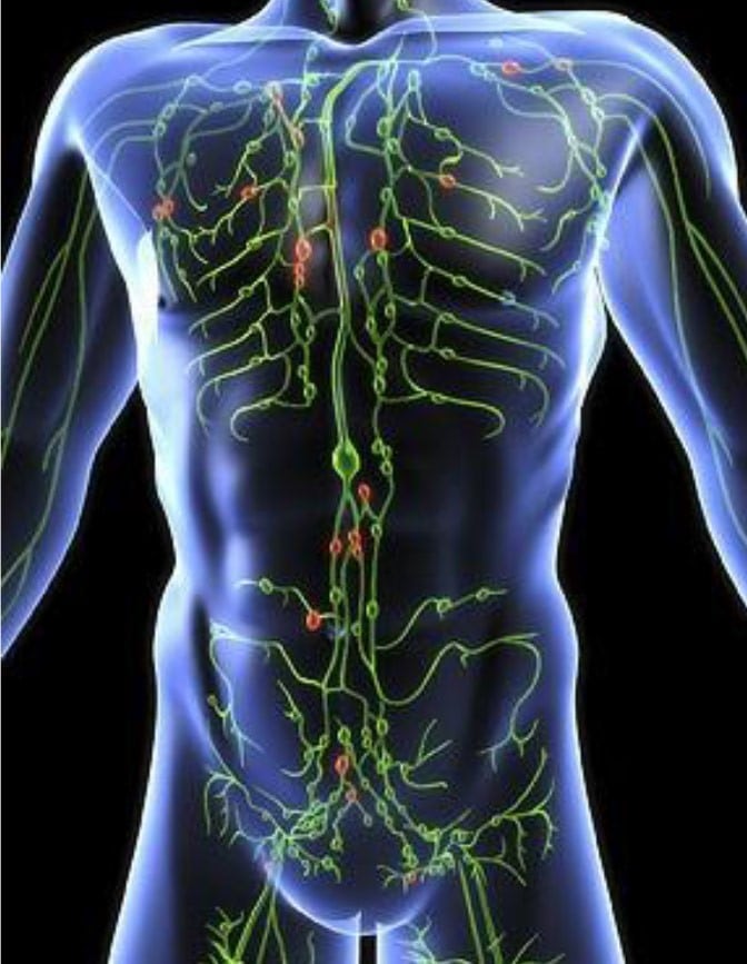 massage lymphatique : son impact sur la circulation lymphatique