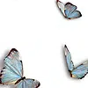 logo pauline silvant